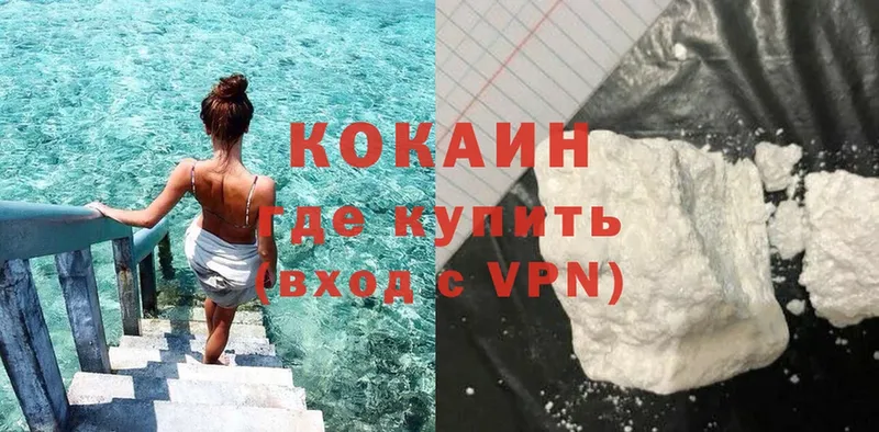 kraken как зайти  Зубцов  Кокаин Боливия 