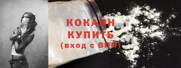 прущие грибы Новокубанск