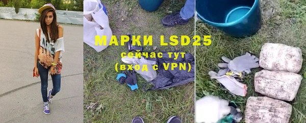 прущие грибы Новокубанск