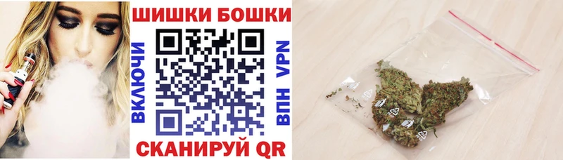 Каннабис сатива  Зубцов 